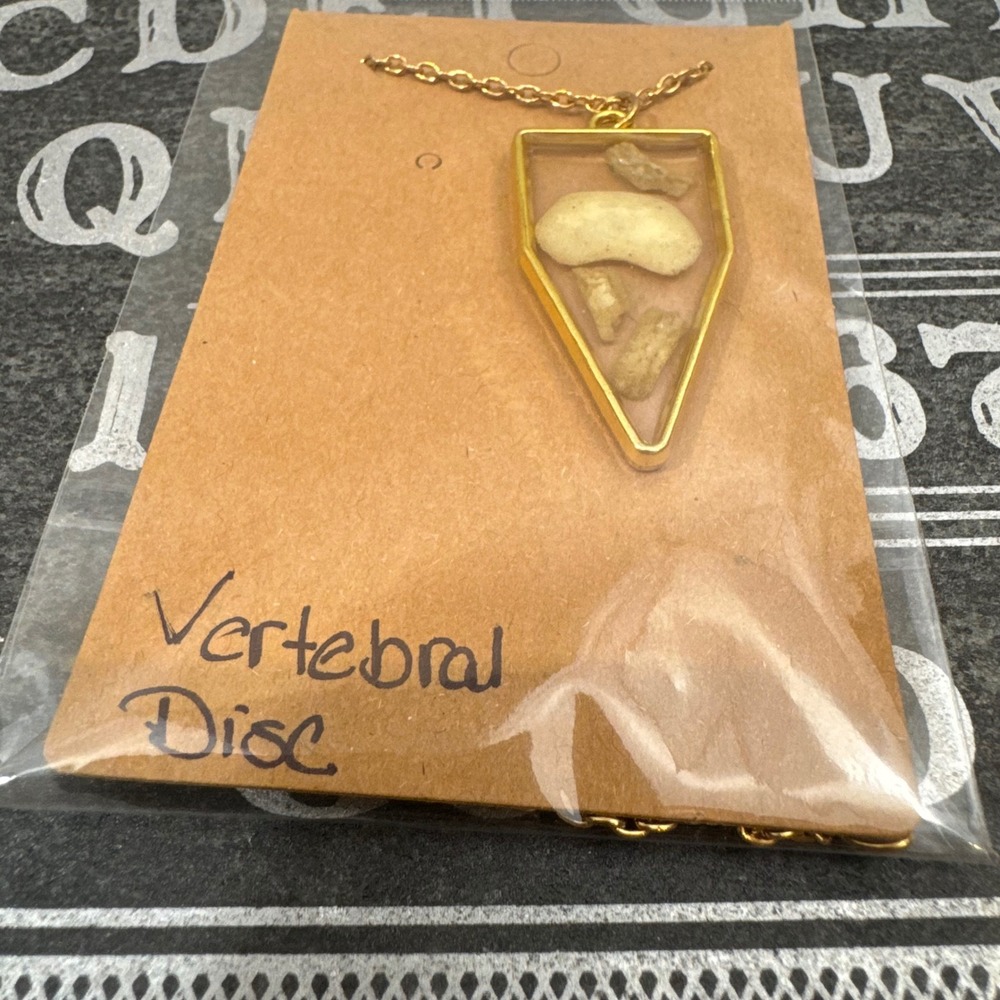 OOAK Handcrafted Fox‎ Vertebral Discs Taxidermy Oddities Animal Bone Necklace